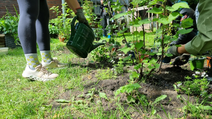 Urban Gardening - Pflanzen Gießen im Wurzelwerk