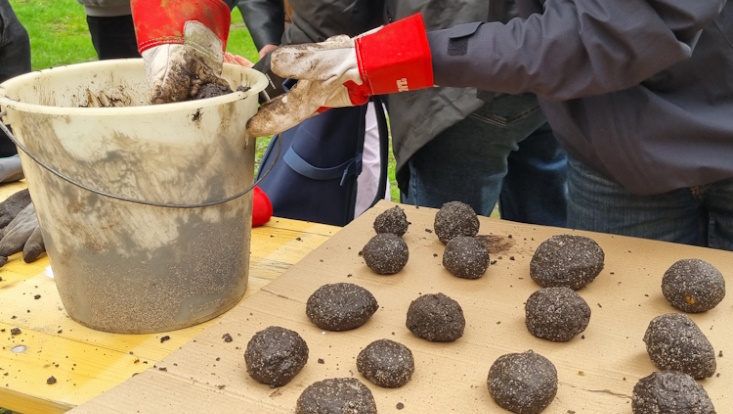 Urban Gardening - Samenbomben herstellen im Wurzelwerk