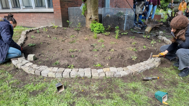 Urban Gardening - Bau des Staudenbeets im Wurzelwerk