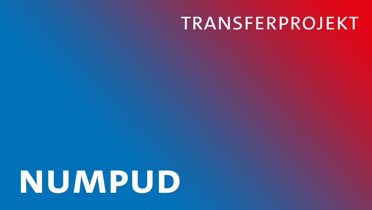 Transferprojekt Numerale Praktiken und Disability